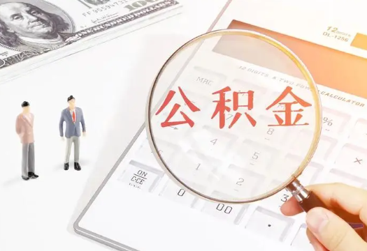 乐东2025年住房公积金政策对房地产市场的影响分析