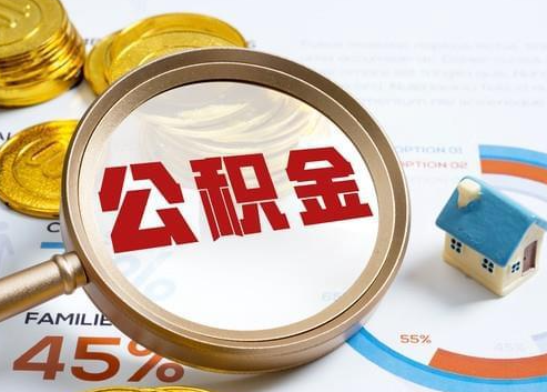 乐东2025年政策调整对个人影响综合解析‌