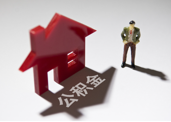 乐东2025年4月最新公积金政策解读‌