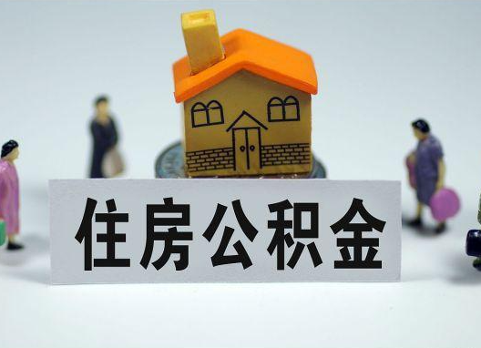 1732157499.png image.png